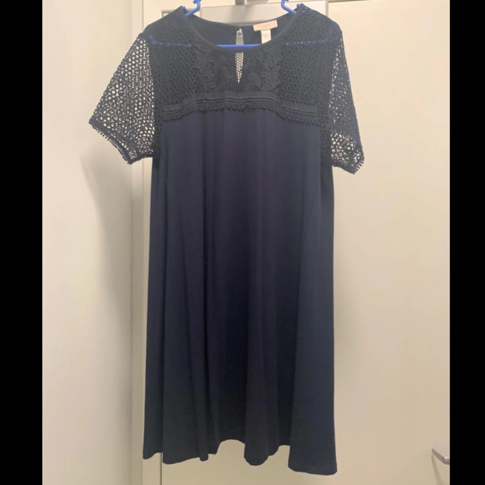 LOFT Navy Blue Lace Shift Dress Size Large
